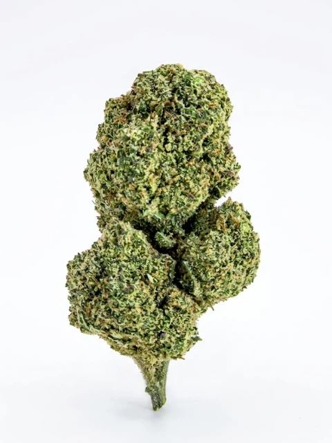 Skywalker (Indoor)