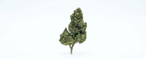 Zklitez (Greenhouse)