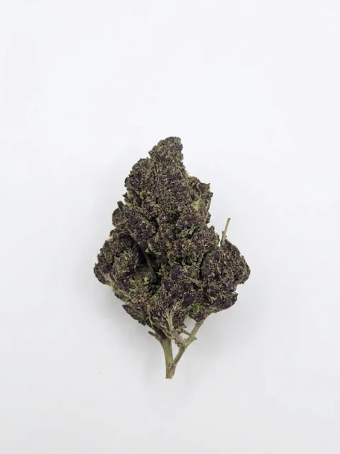 Purple Haze (Greenhouse)
