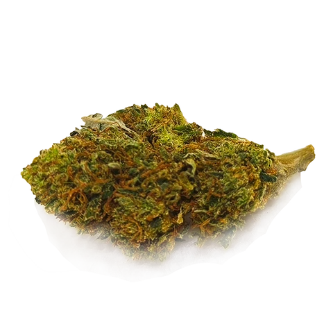 Pineapple (Greenhouse)